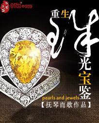 重生珠光宝鉴封面