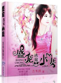 盛宠逃嫁小妻封面