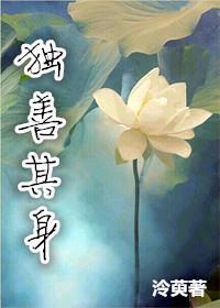 重生之独善其身封面