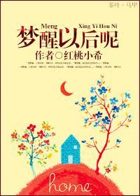 梦醒以后呢封面