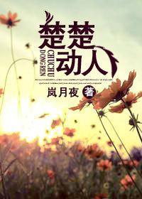 楚楚动人封面