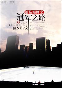 重临巅峰之冠军之路封面