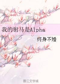 我的驸马是Alpha封面