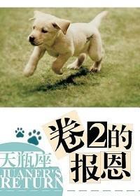 卷2的报恩封面