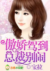 傲娇驾到，总裁别闹封面