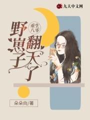 重生八零，野崽子翻天了封面