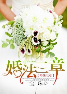 婚法三章封面