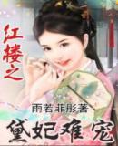 红楼之黛妃难宠封面