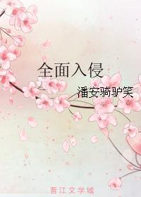 全面入侵封面