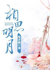 相思明月封面