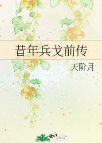 昔年兵戈前传封面