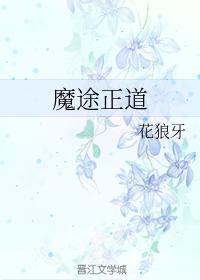魔途正道封面