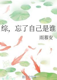 综，忘了自己是谁封面