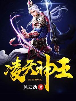 凌天神王封面