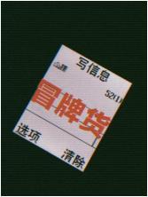 冒牌货封面
