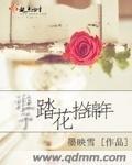谁予踏花拾锦年封面