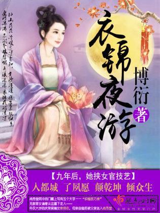 衣锦夜游封面