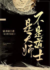 是天师不是道士封面