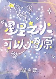 星星之火，可以燎原封面