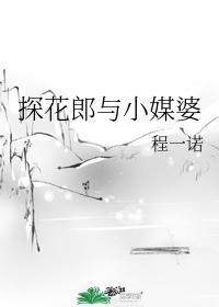 探花郎与小媒婆封面