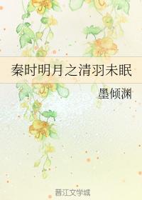 清羽未眠封面