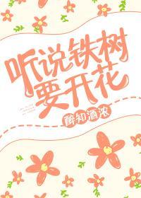 听说铁树要开花封面