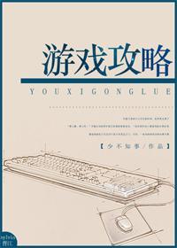 游戏攻略[无限]封面