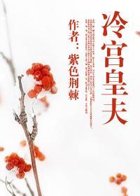 冷宫皇夫封面