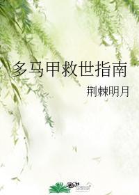 多马甲救世指南封面