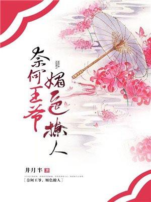 怎奈美人太撩人陆昀封面