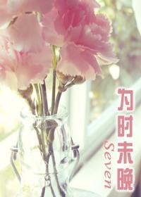 为时未晚封面
