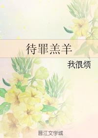 待罪羔羊封面