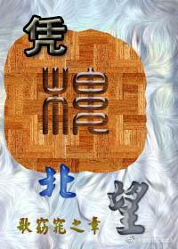 凭楼北望封面