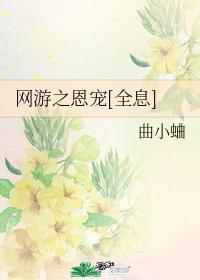 网游之恩宠[全息]封面