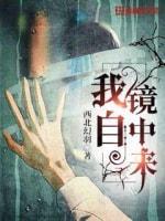 我自镜中来封面