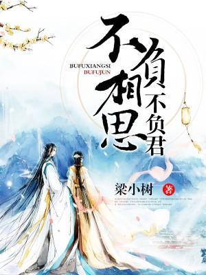 不负相思不负君封面