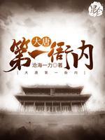 大唐第一衙内封面