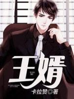 王婿封面