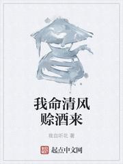 我命清风赊酒来封面