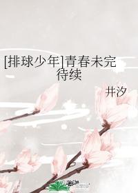 [排球少年]青春未完待续封面