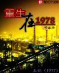 重生在70年代封面
