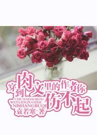 穿到肉文里的作者你伤不起封面