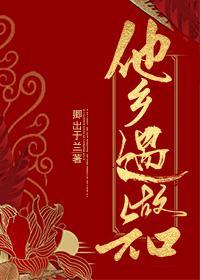 他乡遇故知封面