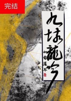 九垓龙吟封面