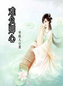 难负卿心封面
