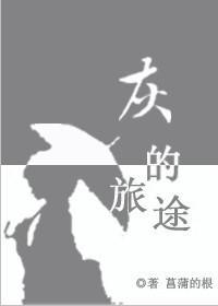 [宠物小精灵bw]灰的旅途封面