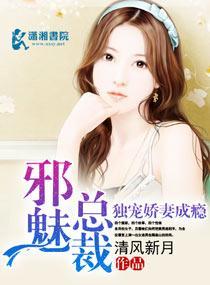邪魅总裁独宠娇妻成瘾封面