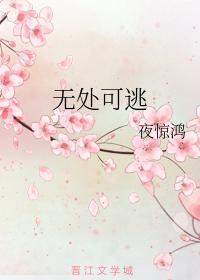 无处可逃封面