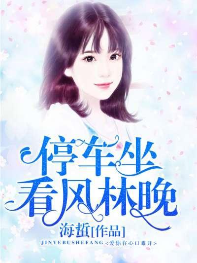 停车坐看风林晚封面