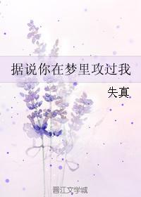 据说你在梦里攻过我封面